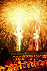 LIGHT UP NIPPON 2014 願いを込めて