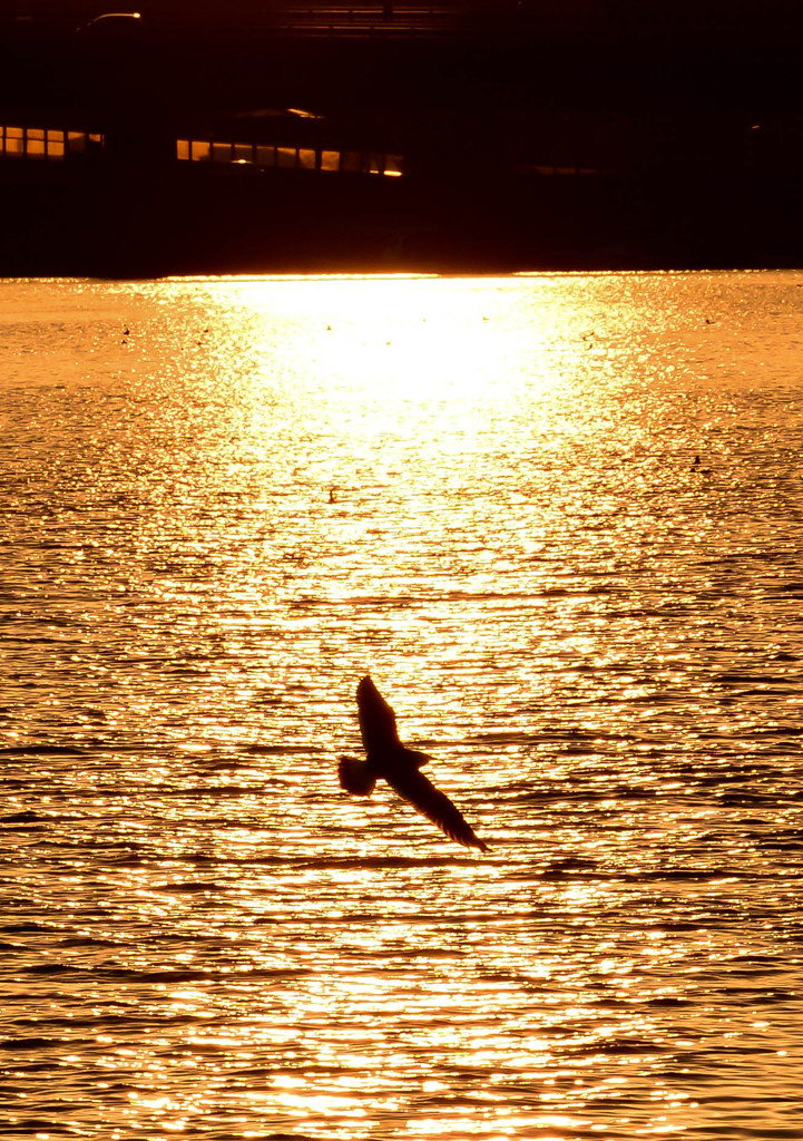 夕焼けの海