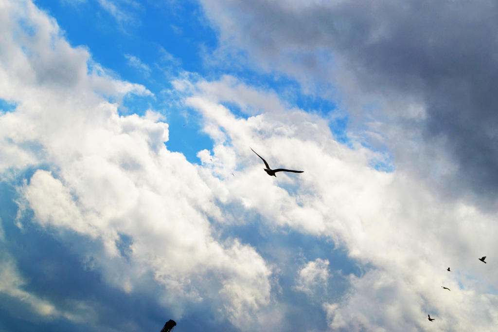 Run in the Sky