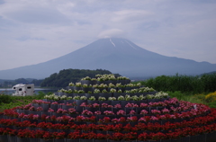 å¯å£«å±± 152