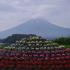å¯å£«å±± 152