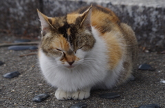 IMGP1165