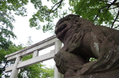 å¯å£«å±± 169