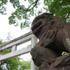 å¯å£«å±± 169