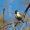 366A1042_400mm_F5,6_SS800_ISO125
