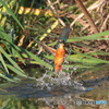 AK4I6729_400mm_F5,6_SS1600_ISO640