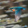 AK4I6653_400mm_F5,6_SS1600_ISO640