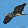 366A9914_400mm_F5,6_SS1250_ISO160