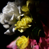 自然光で花束(暗)
