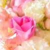 自然光で花束(明)