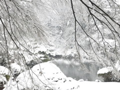 御苑の雪景色