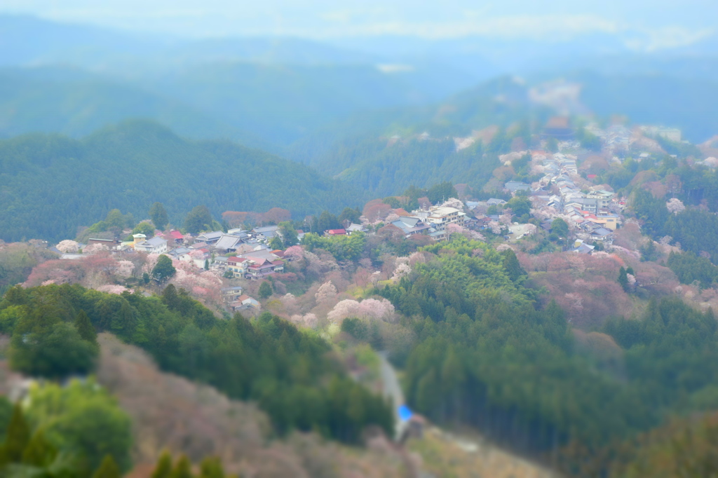 吉野山から。