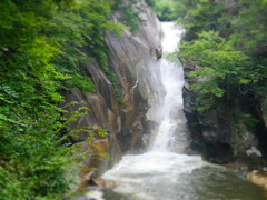 山梨旅行