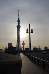 言問橋から