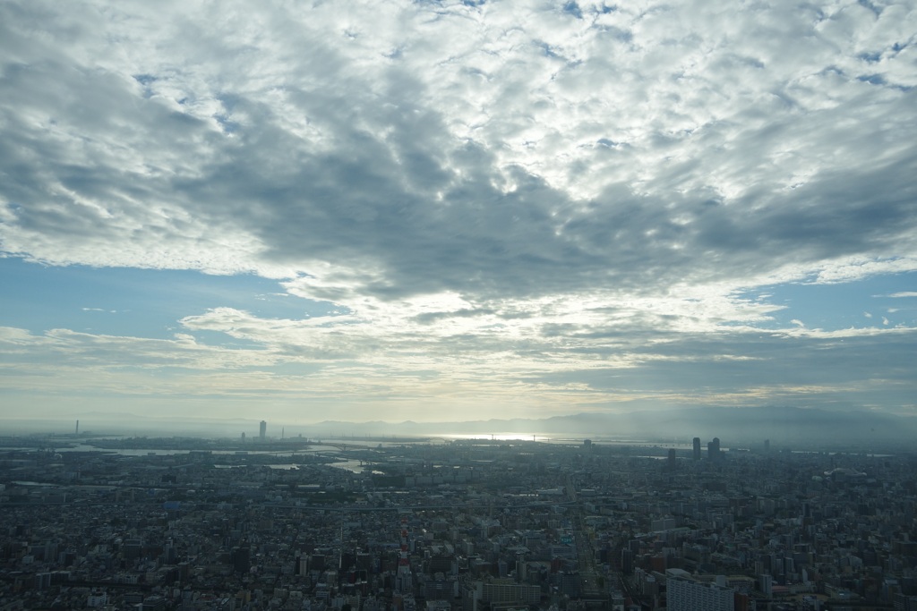 890CEB45-E529-4B19-9619-7C1CC0EFD452