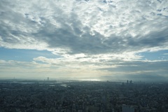 890CEB45-E529-4B19-9619-7C1CC0EFD452