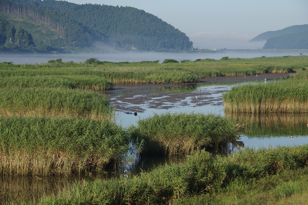 霧の北上川