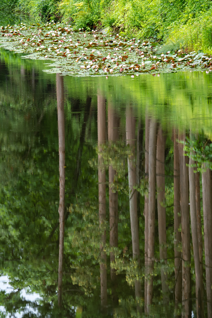 長沼2