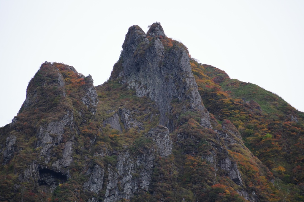 霧から顔を出す