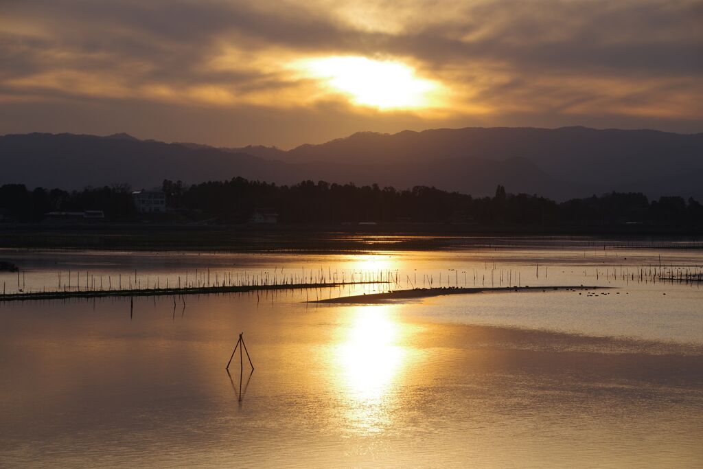 夕陽を映して