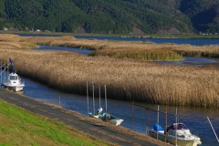 葦の川原