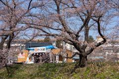 藤田川