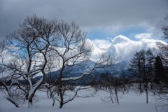 山に願う