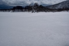 新雪輝く