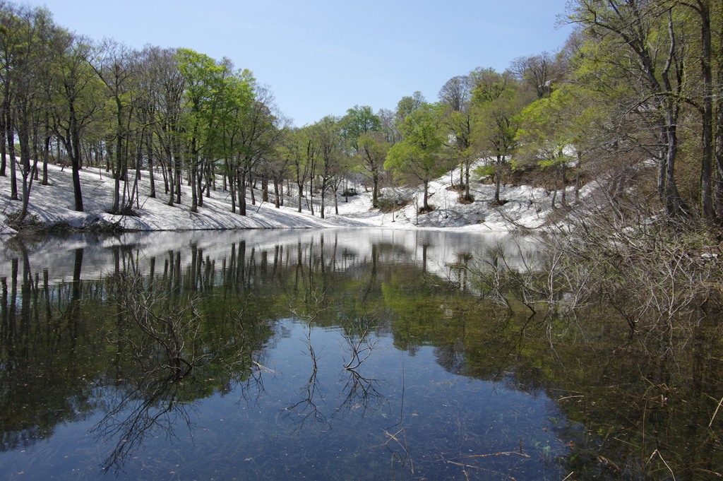 雪解けの沼