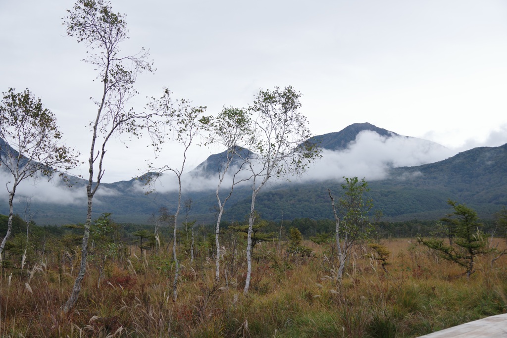 霧渡る戦場ヶ原
