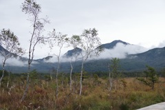 霧渡る戦場ヶ原