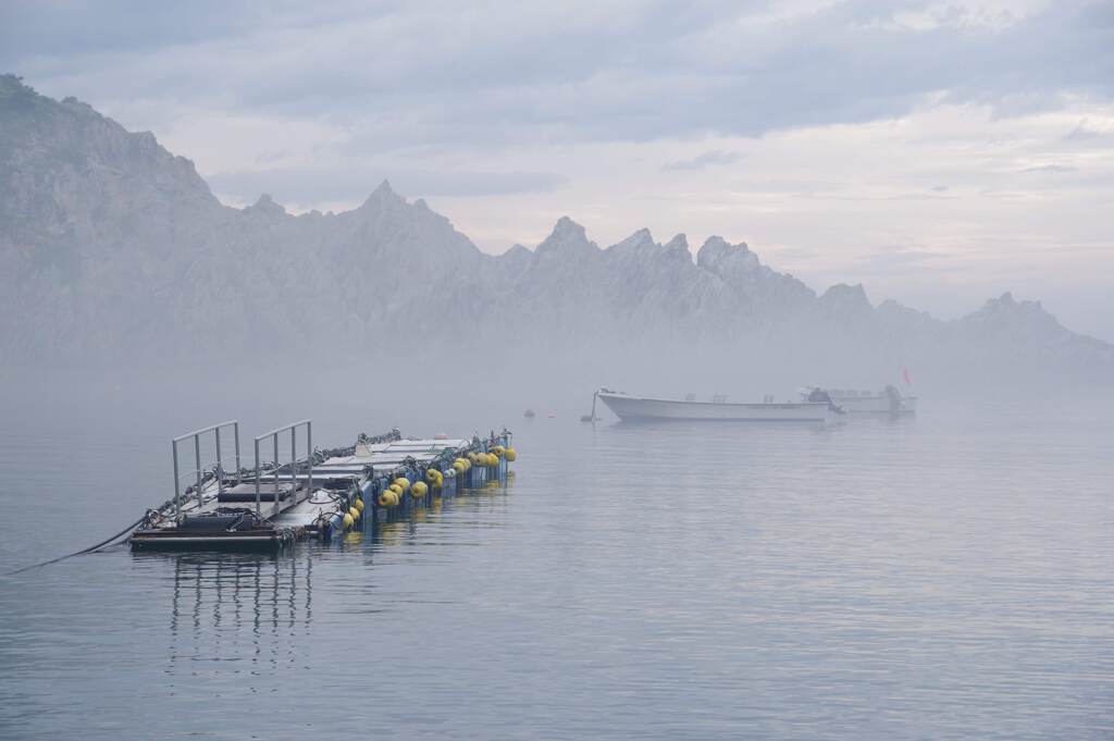霧に浮かぶ