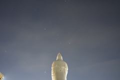 オリオン連れて冬が来る