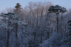 早朝の降雪
