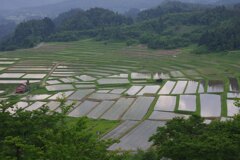 棚田をのぞめば