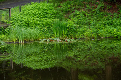 長沼4