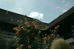 夏空