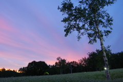 高杖蕎麦畑で夕陽焼ける