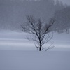 風雪に耐える