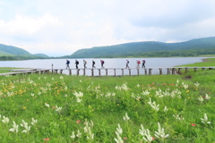 花園をハイキング