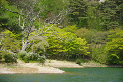 半田山自然公園7