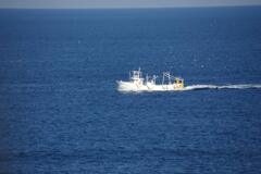 船を追って飛ぶ