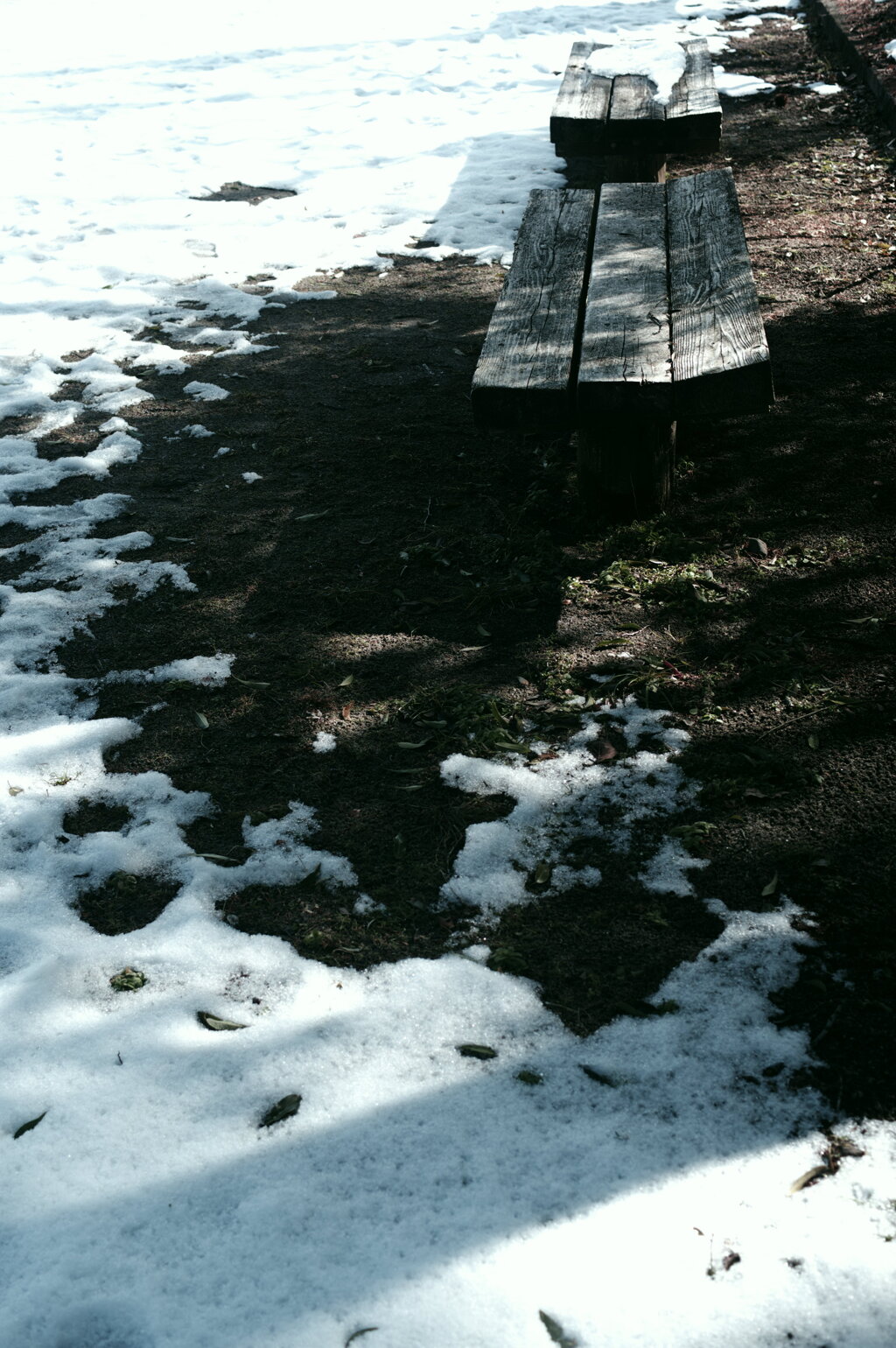 冬の公園7