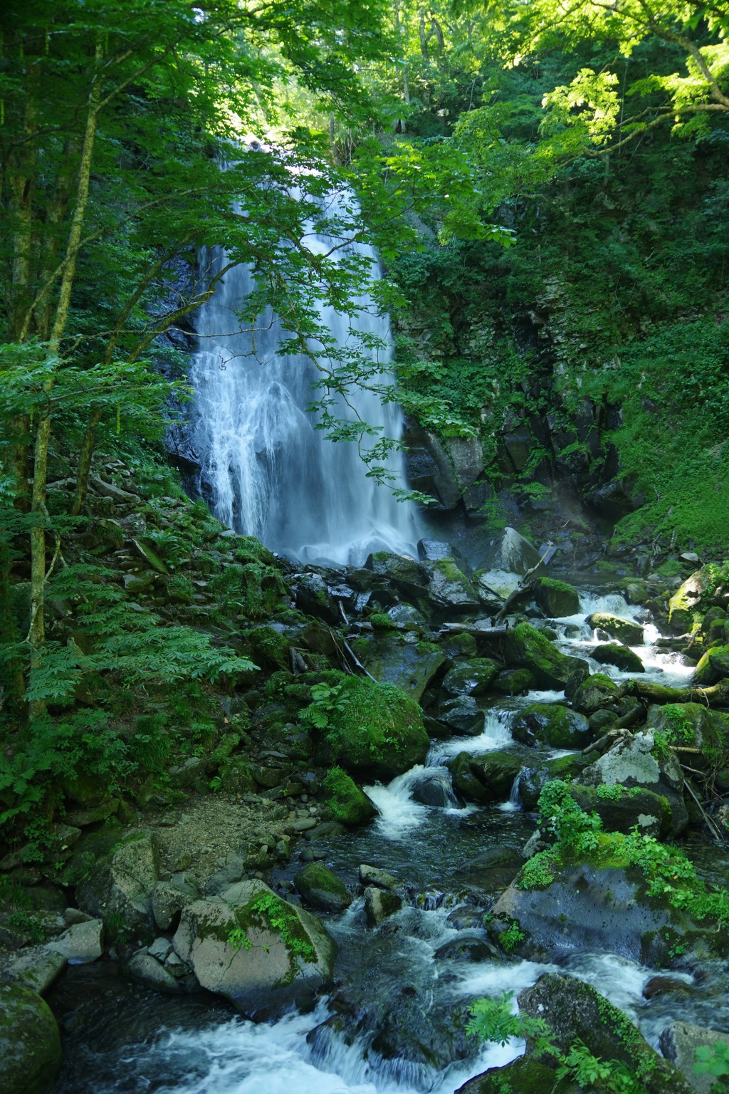 真夏の滝