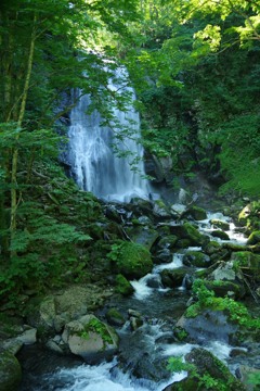 真夏の滝