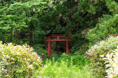赤い鳥居