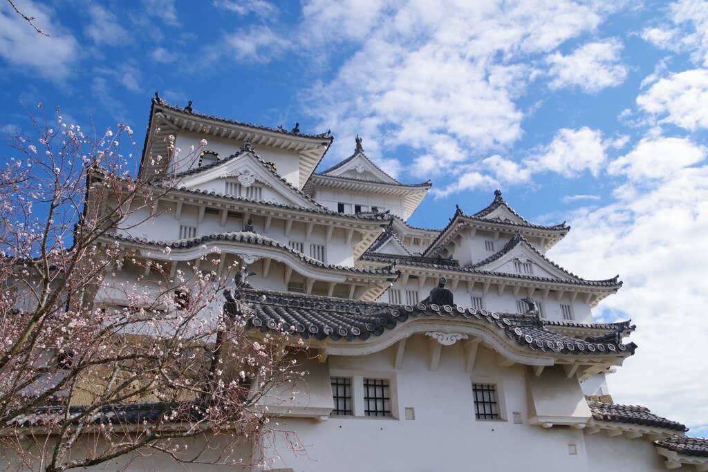 桜もそえて