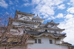 桜もそえて