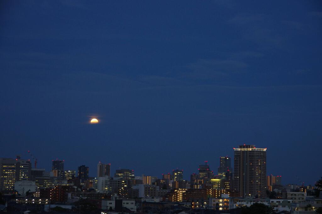 都会の月