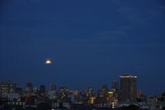 都会の月